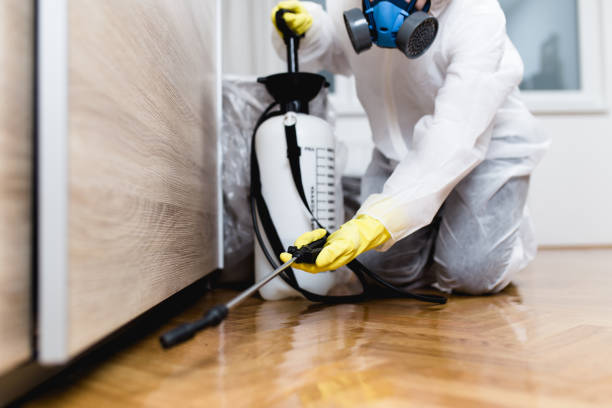 Best Local Pest Control Services  in Edwardsvle, IL