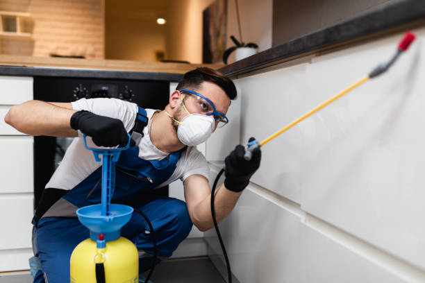 Best Pest Control Near Me  in Edwardsvle, IL