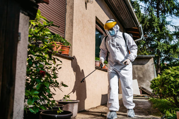 Best Pest Removal Services  in Edwardsvle, IL