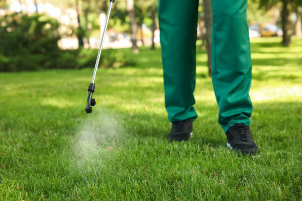 Best Rat Extermination Near Me  in Edwardsvle, IL