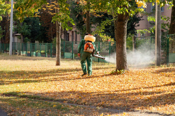 Wildlife Control Services in Edwardsville, IL