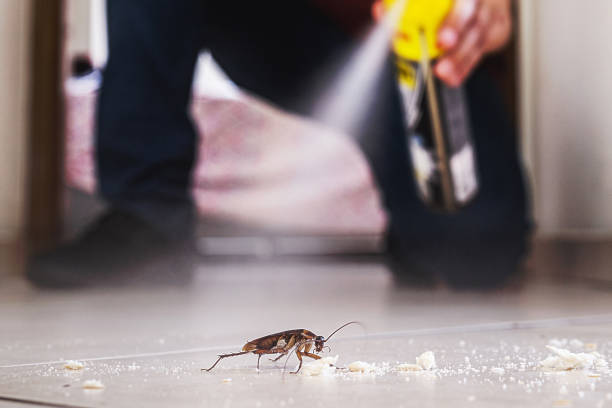 Pest Prevention Services in Edwardsville, IL