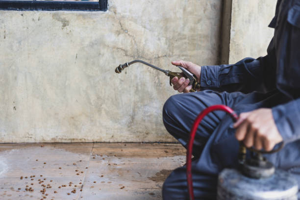 Best Pest Control Treatment  in Edwardsvle, IL