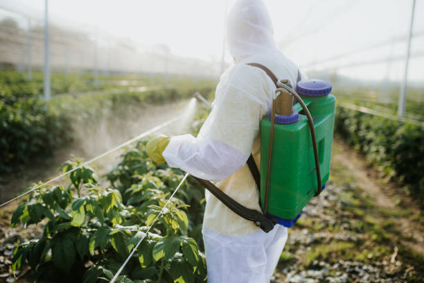 Professional Pest Control in Edwardsville, IL
